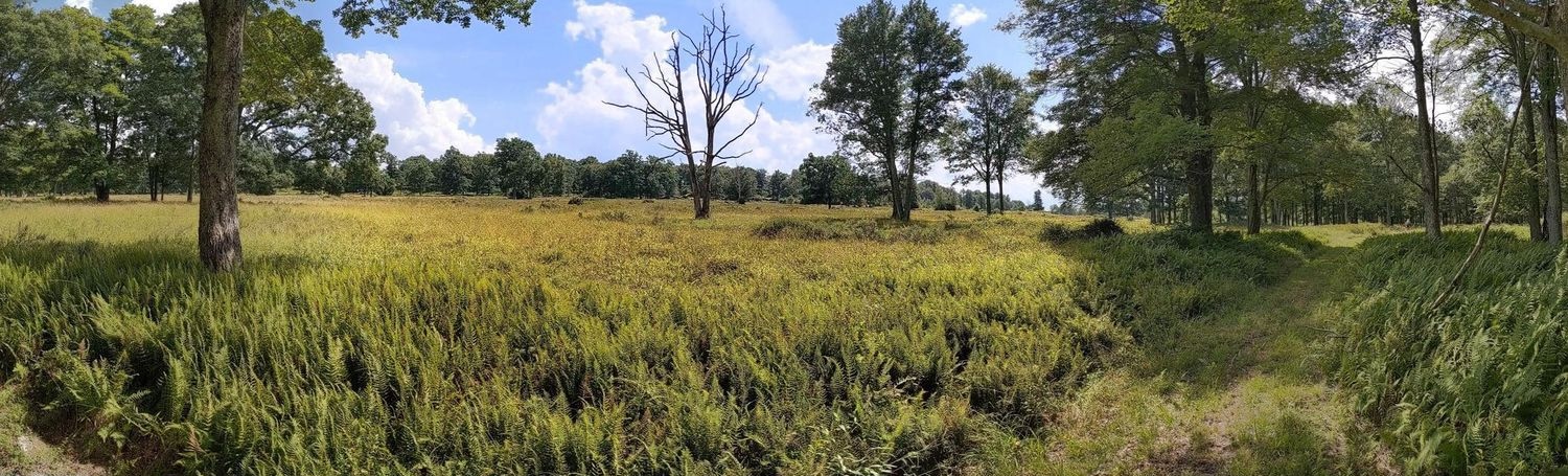 614 Graystones Jeras Road Featured Photo