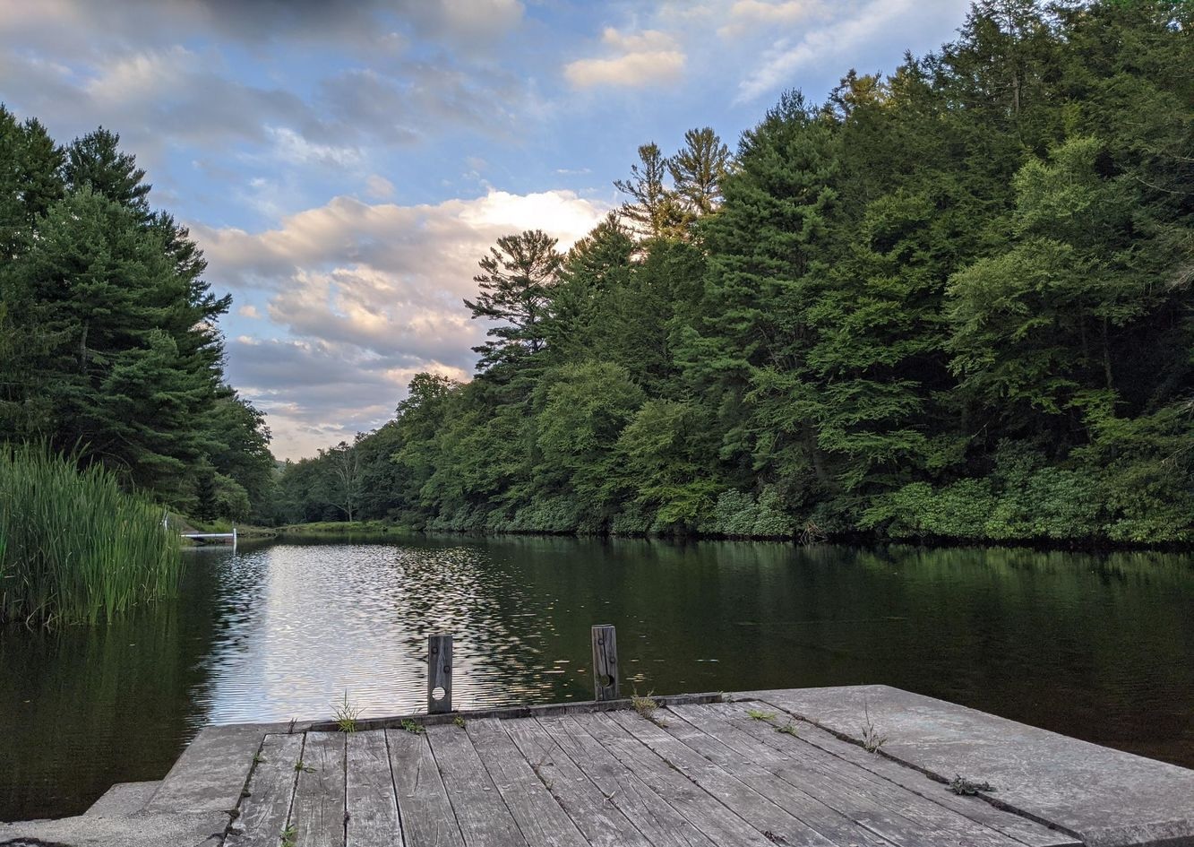 614 Graystones Jeras Road Featured Photo