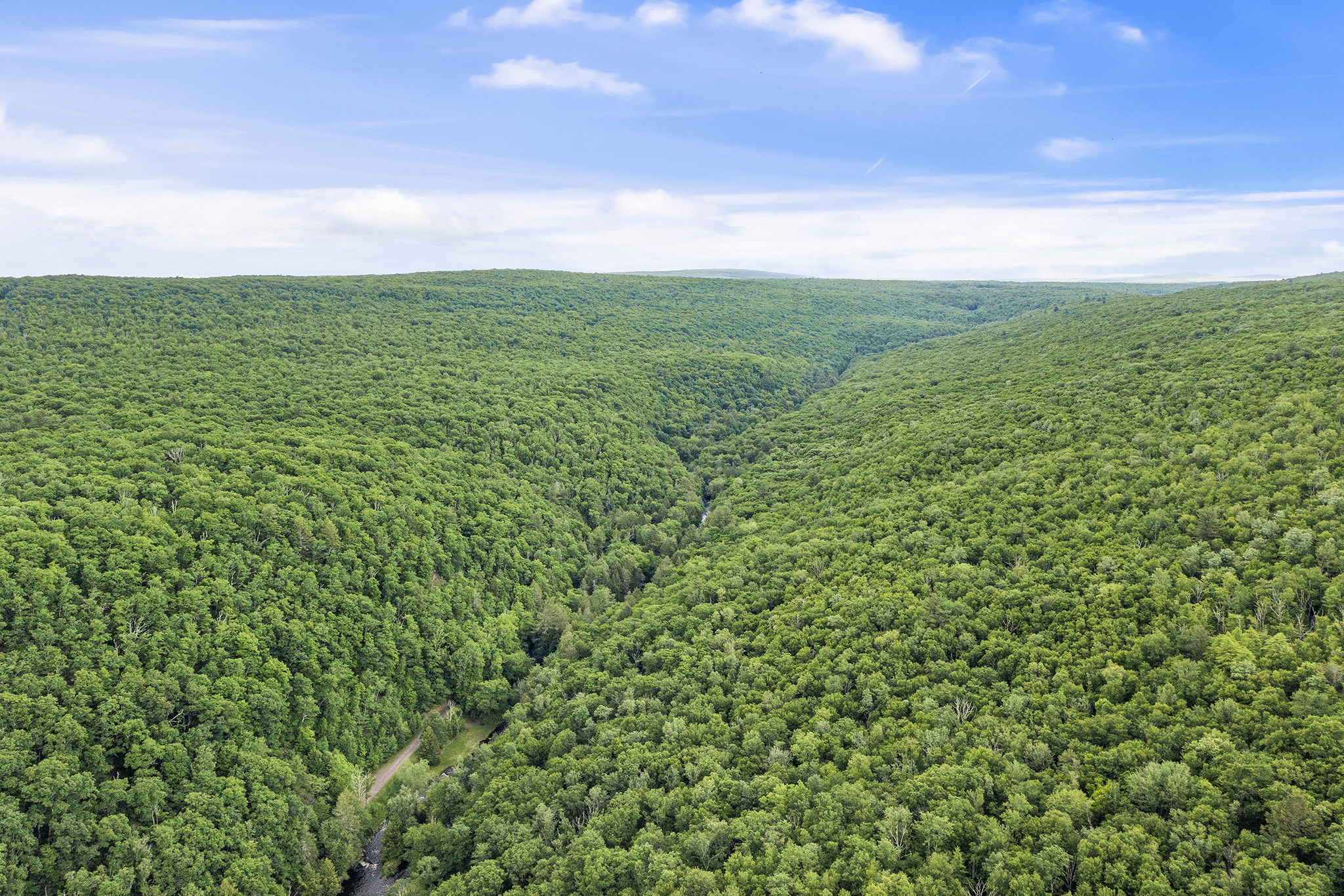  Graystones Preserve Featured Photo