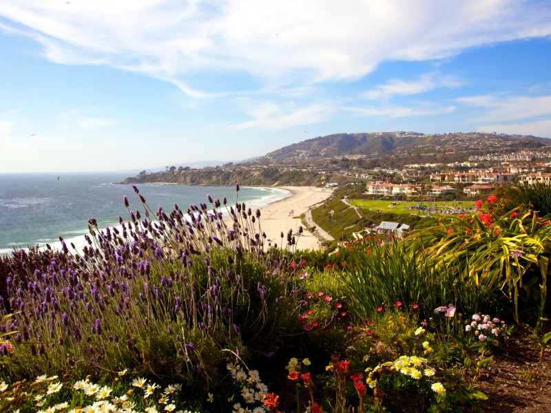 Dana Point