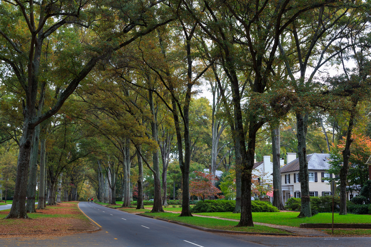 Myers Park