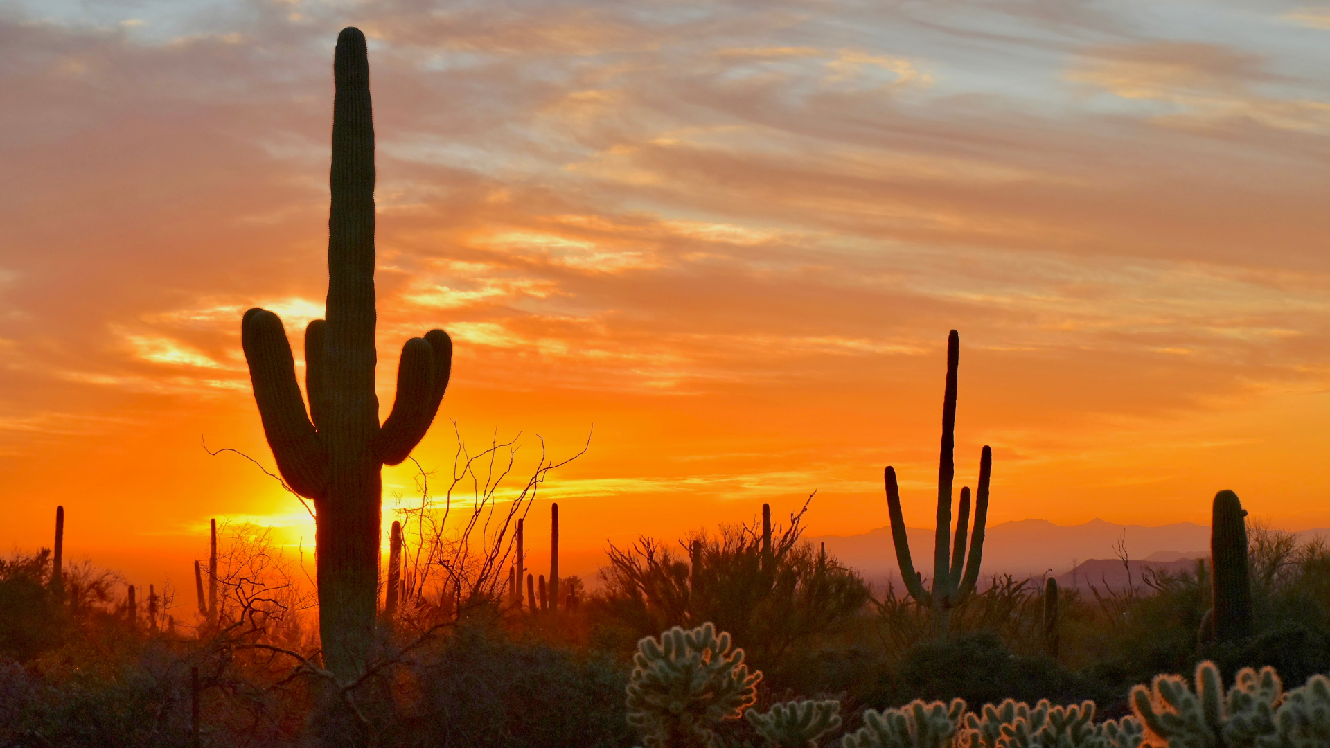 North Scottsdale