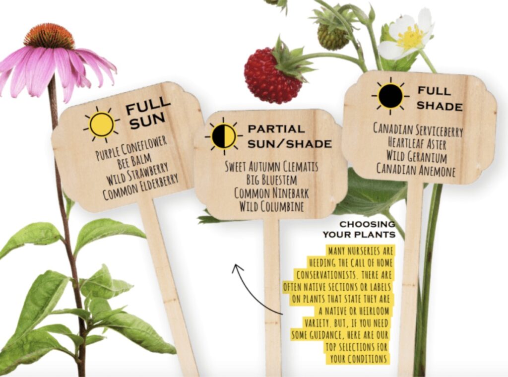 labels for plants