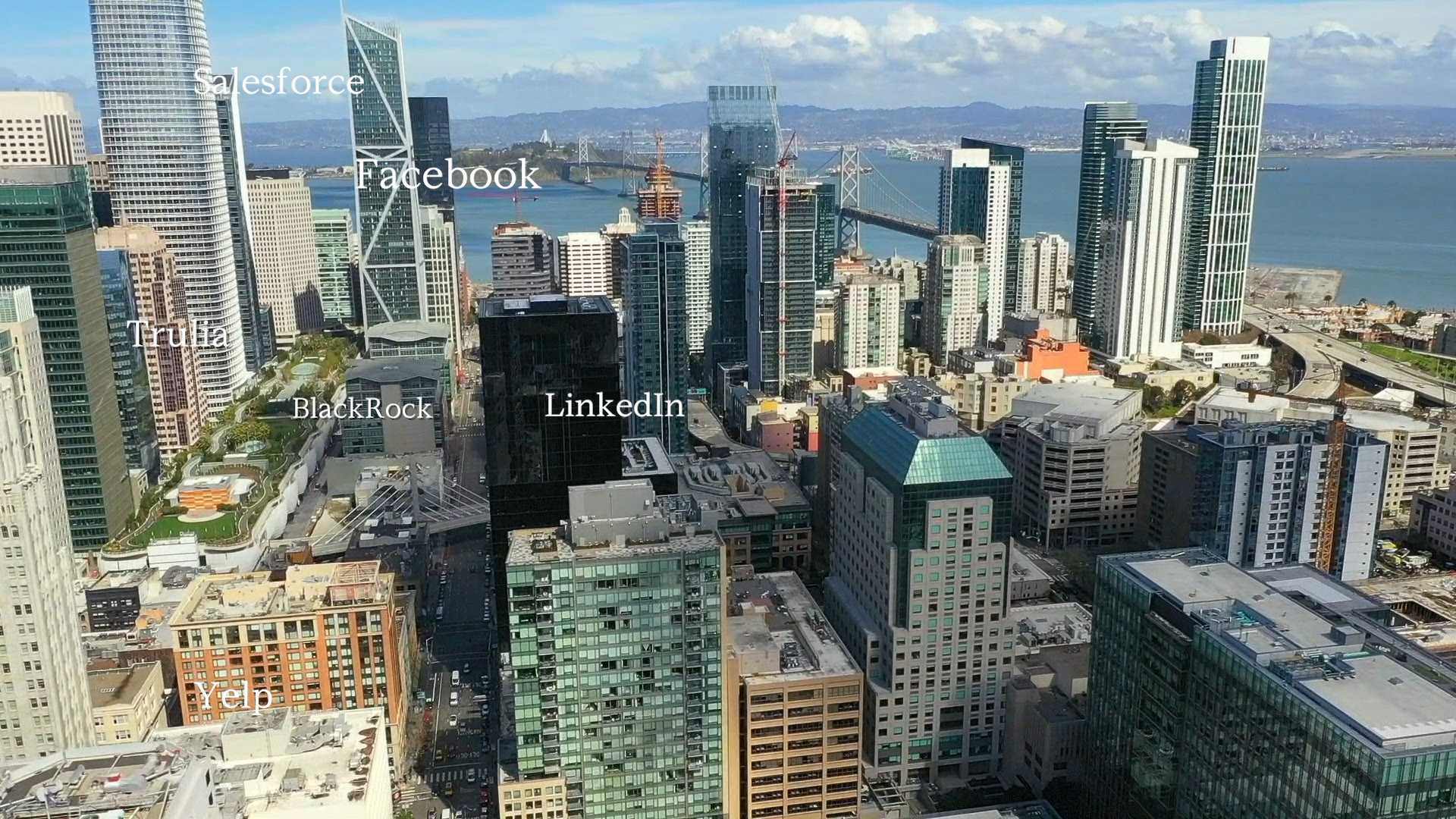 large companies