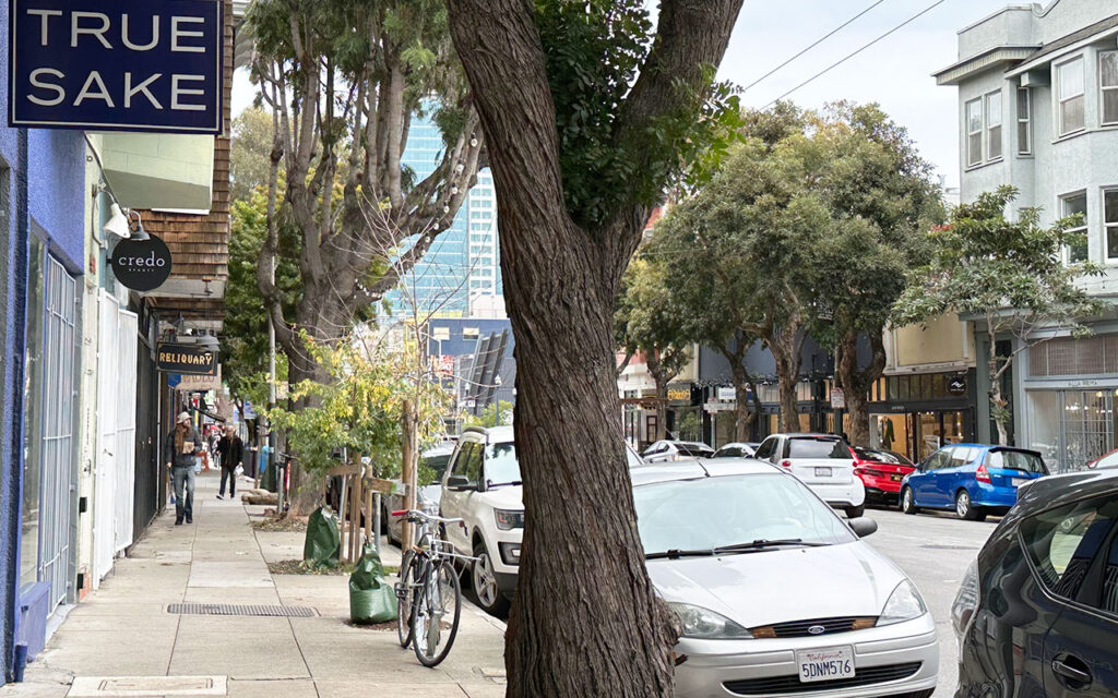 A bustling sidewalk in Hayes Valley with small businesses, illustrating the neighborhood's dynamic urban lifestyle.