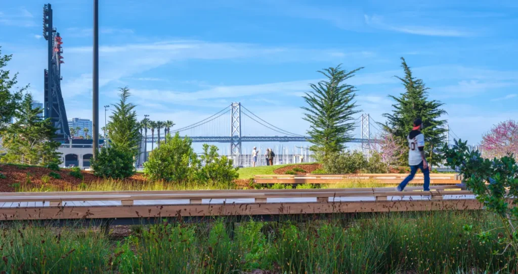Man with backwards baseball cap and jersey walking along a wooden boardwalk with views of Oracle Park, the SF-Oakland Bay Bridge, and lots of lush greenery and plant life