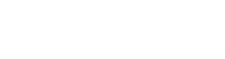 Bristol Palin Team