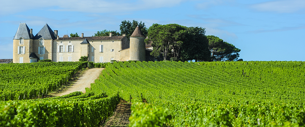 Vineyard and Chateau d'Yquem, Sauternes Region, Aquitaine, Franc