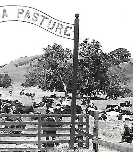 Slide Image #1