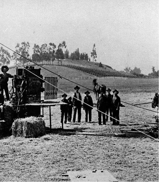 Slide Image #4