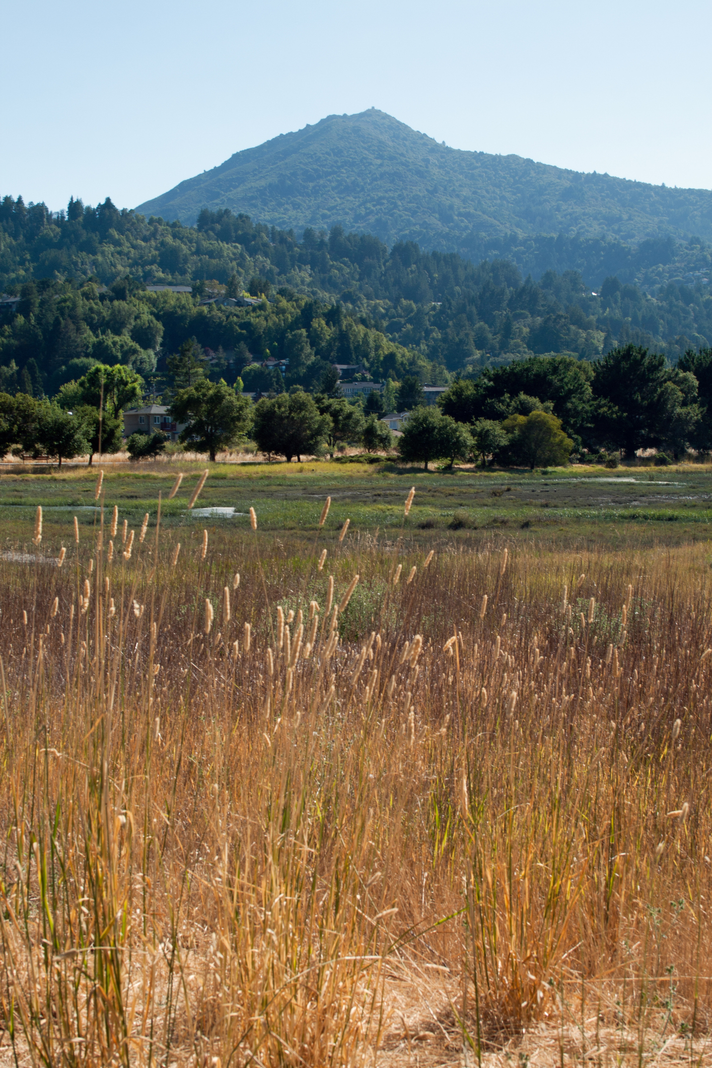 Featured Communites - Greenbrae/Kentfield