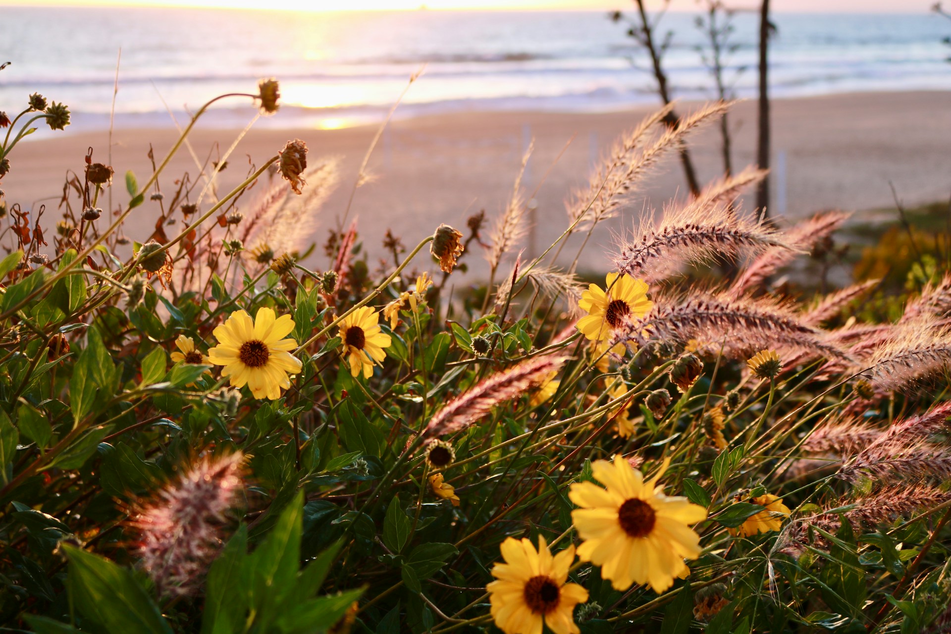 Manhattan Beach