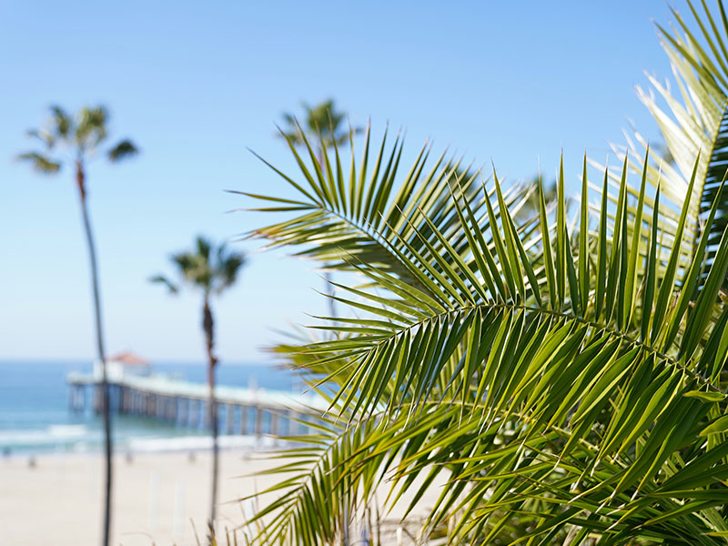Manhattan Beach