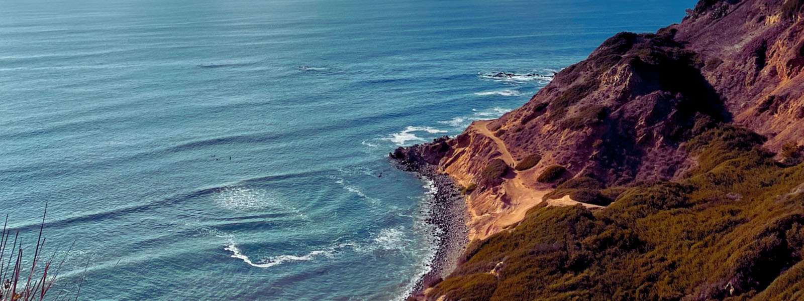 Palos Verdes