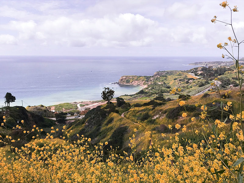 Palos Verdes
