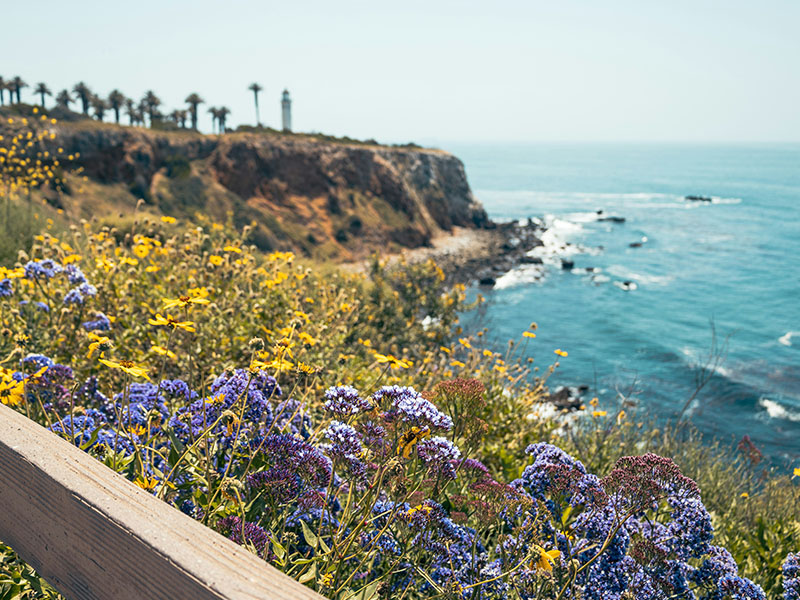 Rancho Palos Verdes