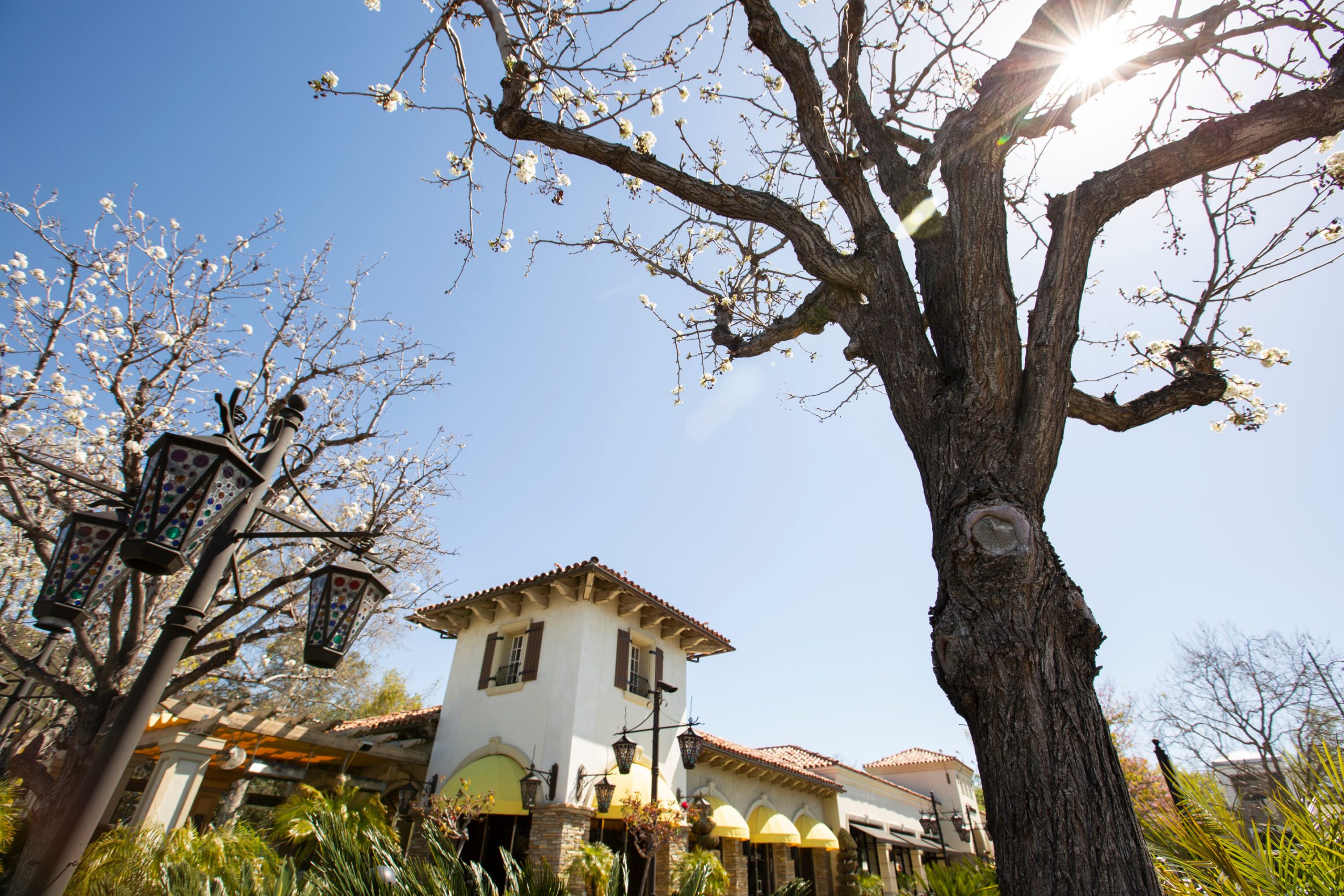 Springtime view of the historic downtown area of Thousand Oaks, California, USA.