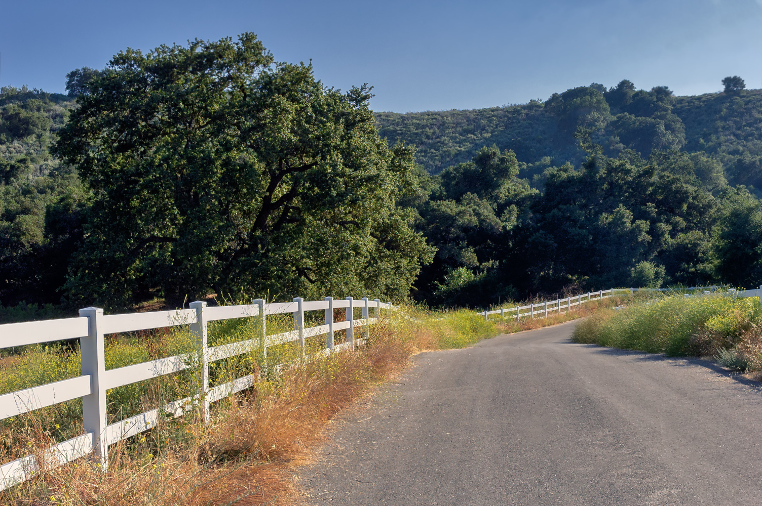 Southern California country road