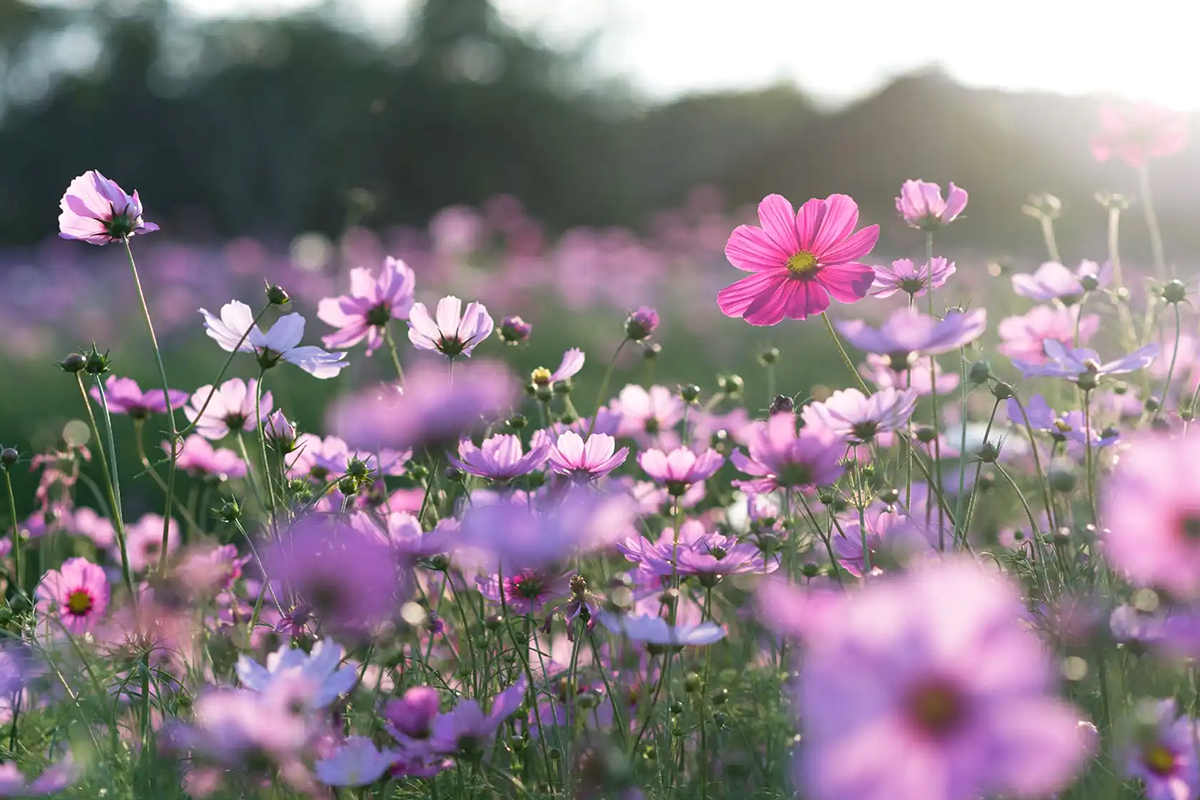 We Celebrate All Kinds of Moms on Mother's Day