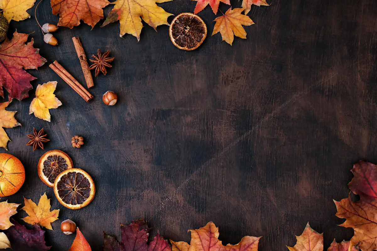 Happy Thanksgiving from Davidson Group!