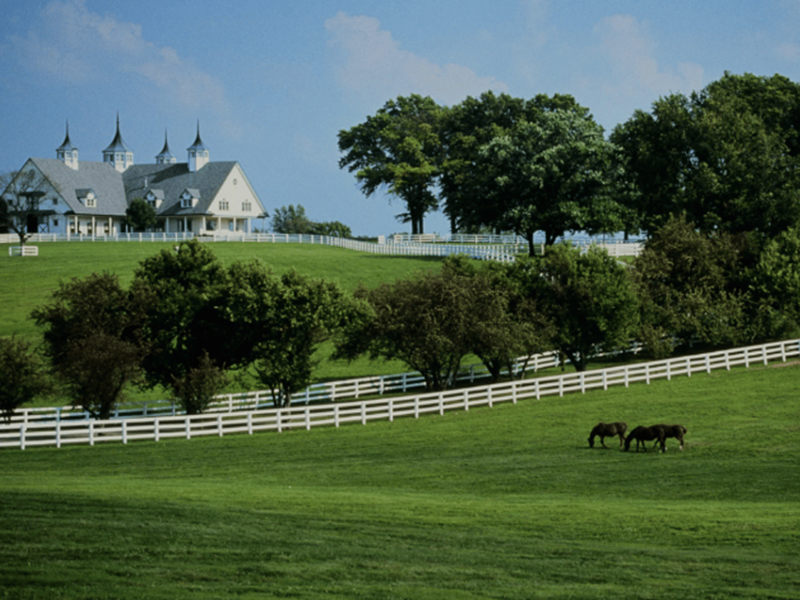 Fireworks, Fresh Listings & Big News from Andrea! 🇺🇸🏡