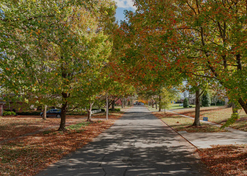 The Charm of 40502 Neighborhoods: Living Among Lexington’s Landmarks