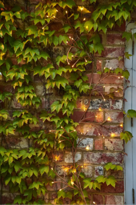 8 Social Front Yard Ideas