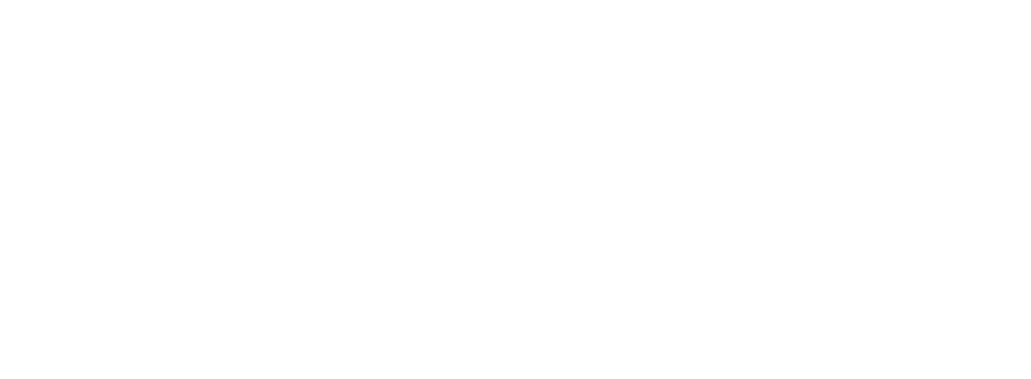 AgentPro Ascend
