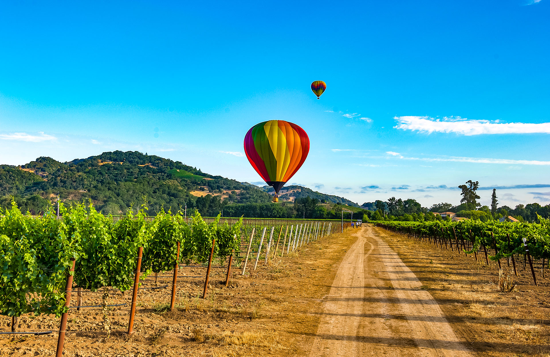 Luxury vineyard estate in St. Helena Napa Valley