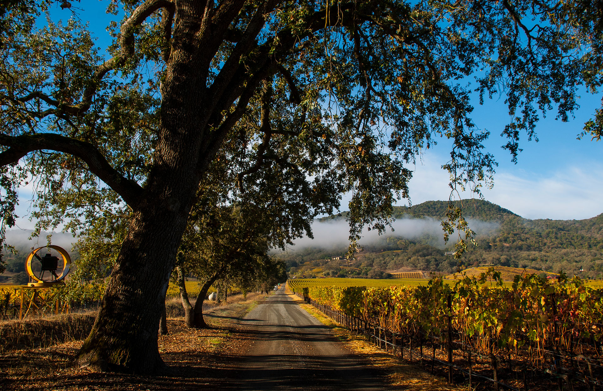 Luxury home in Yountville Napa Valley