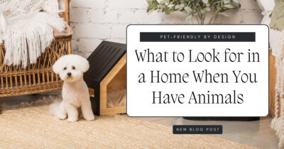 Pet-Friendly by Design FI