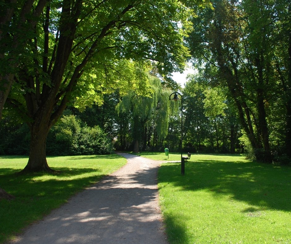 eisenhower park