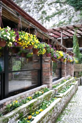 the ultimate guide to creating a beautiful denver garden: what to plant, how to thrive + where to shop locally