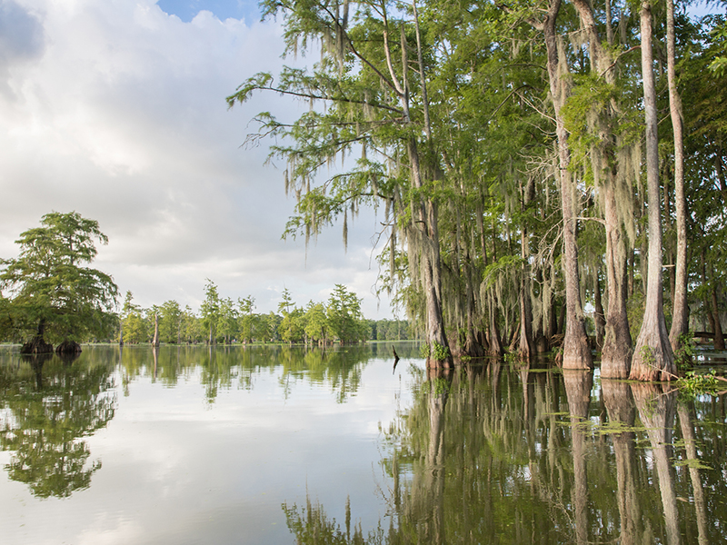 Pearl River, LA
