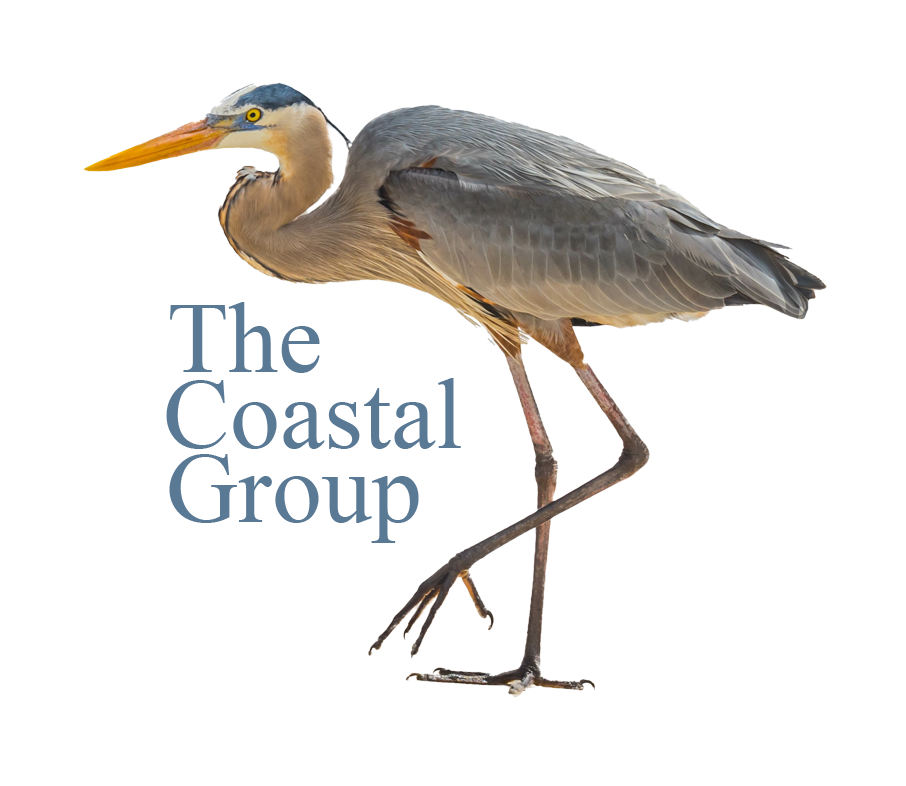 the-costal-white