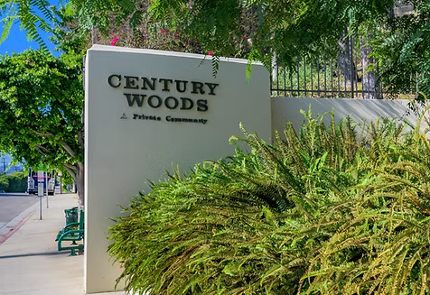 Century Woods