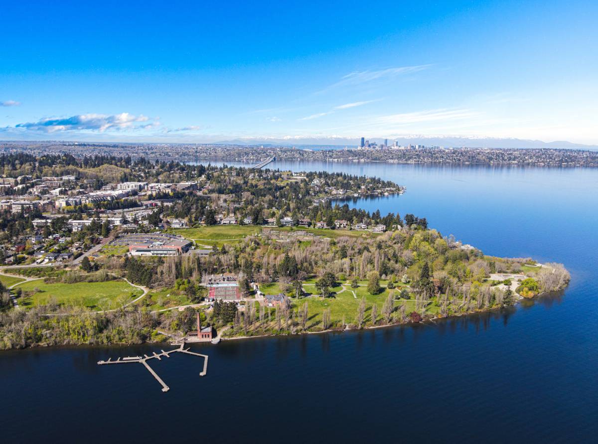 Community - Mercer Island