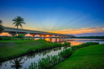 Palm City