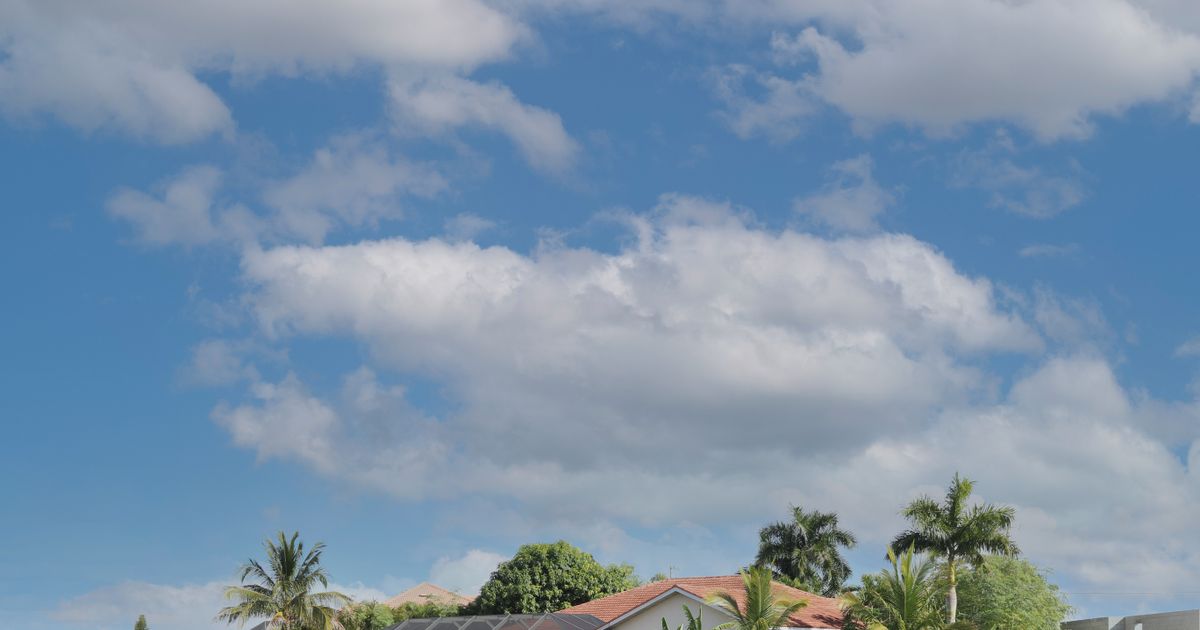 Waterfront home with palm trees on a Florida river, evoking Stuart's St. Lucie River lifestyle