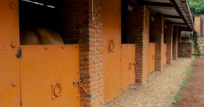 Buying an Equestrian Property in Wellington, FL