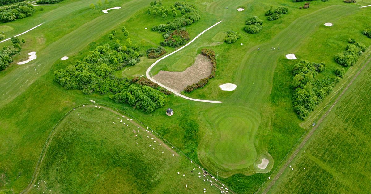 Aerial view of a lush green golf course framed by trees, representing a golf-and-greenspace community