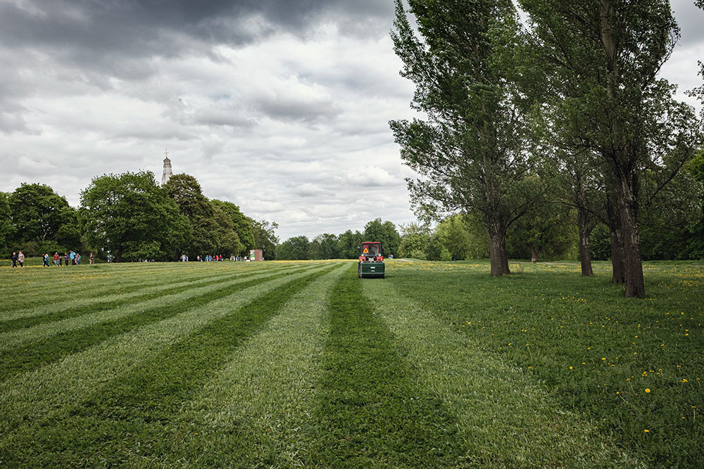 Lawn & grounds maintenance