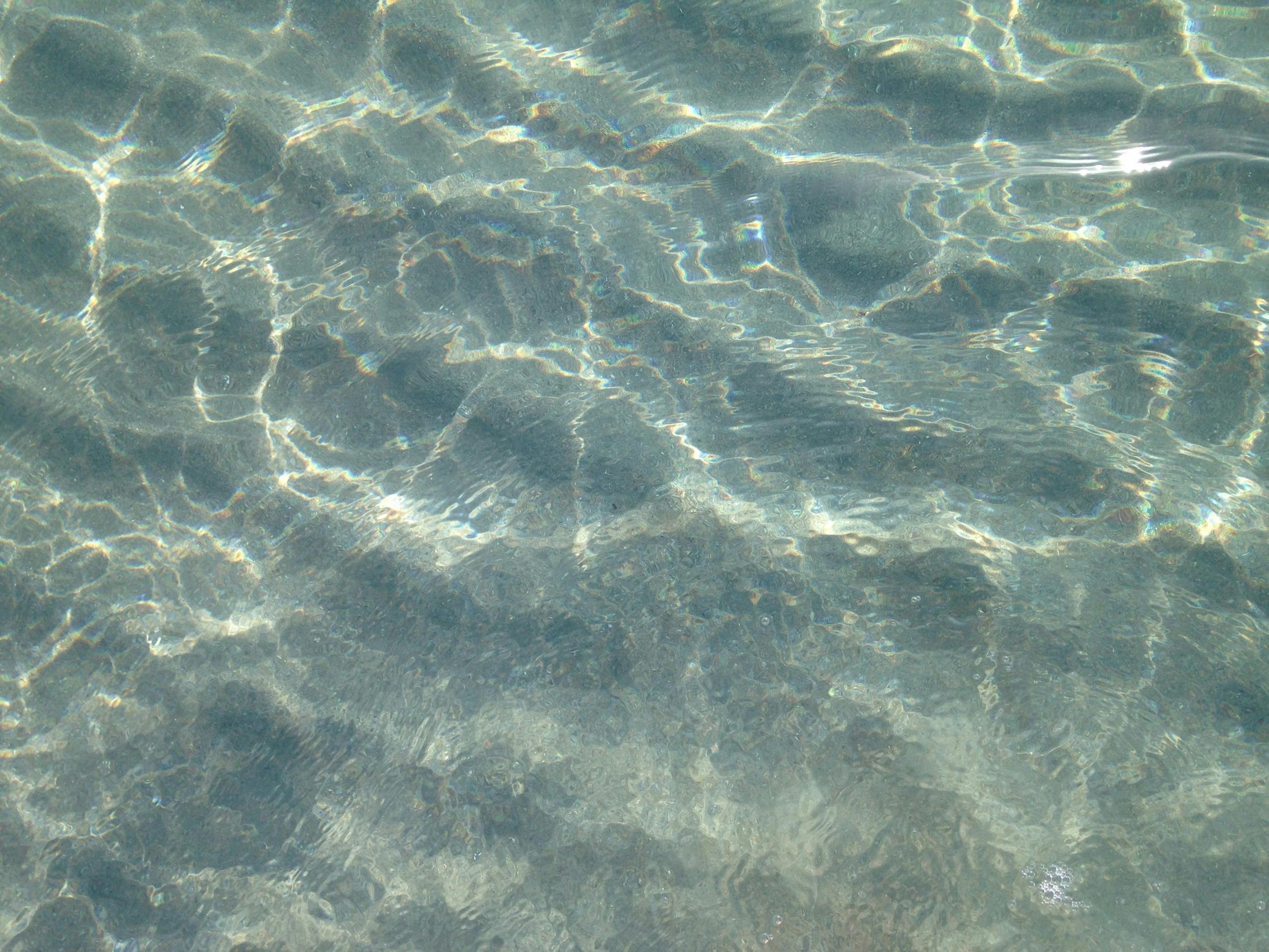 Fallback Image