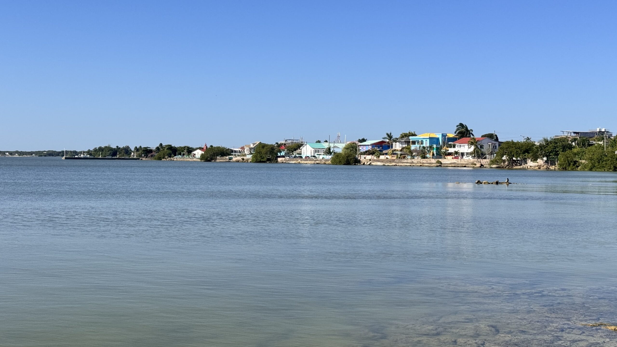 Corozal