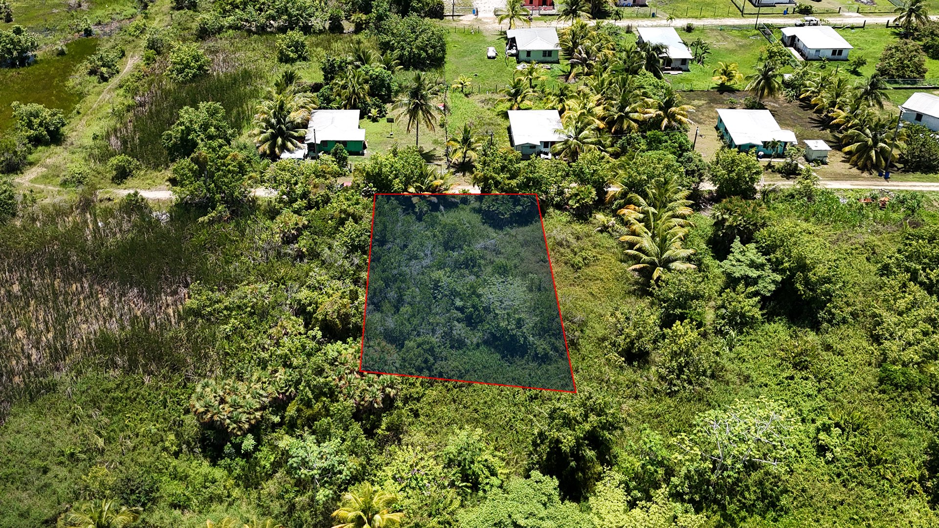Listing Image #1