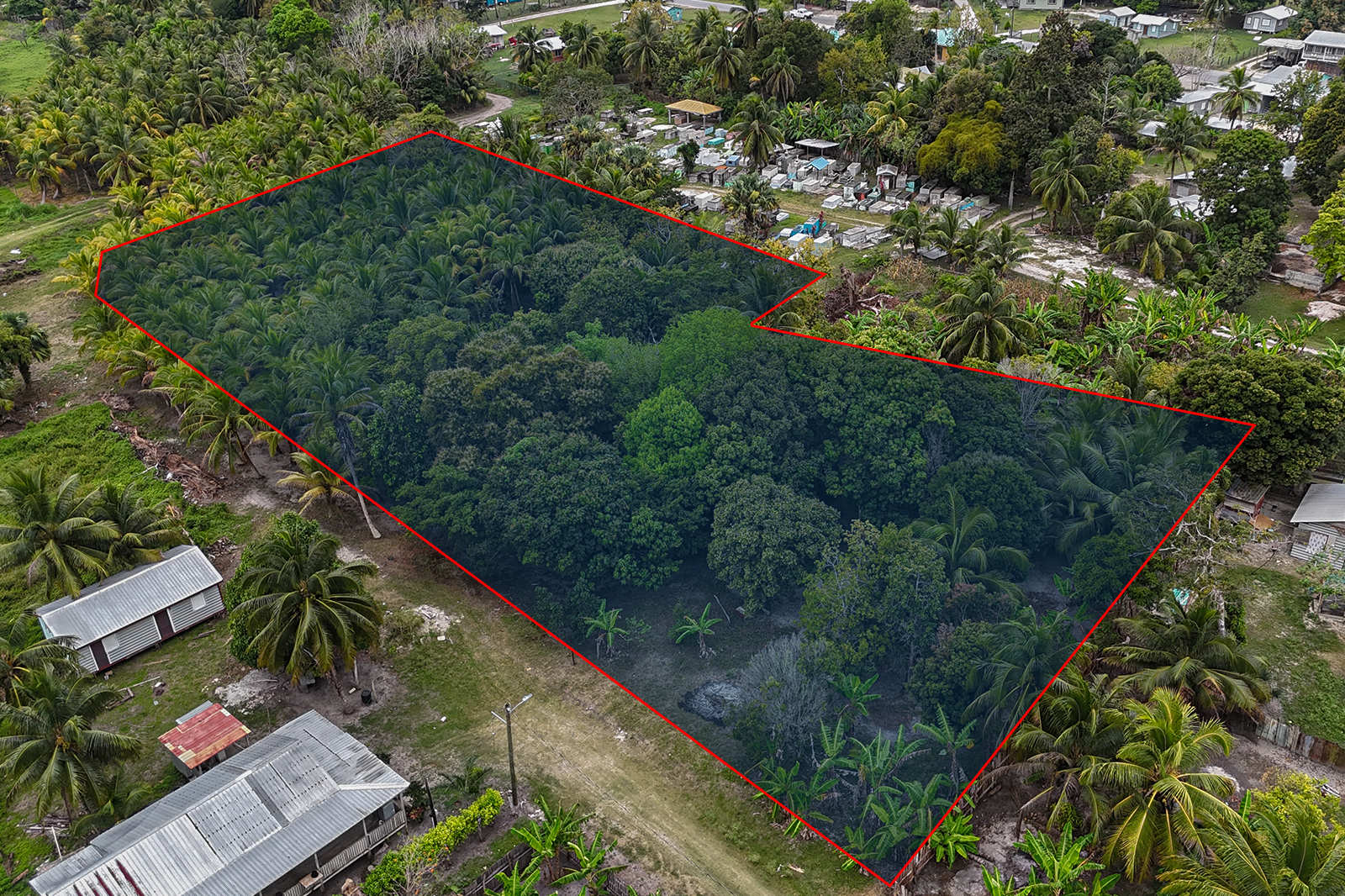 Listing Image #1