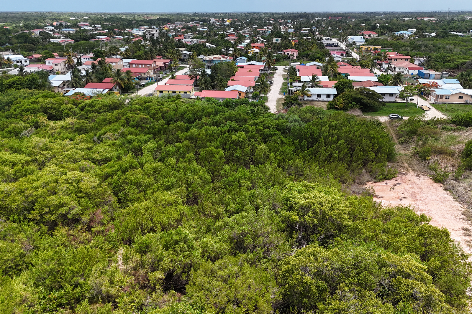 Listing Image #4