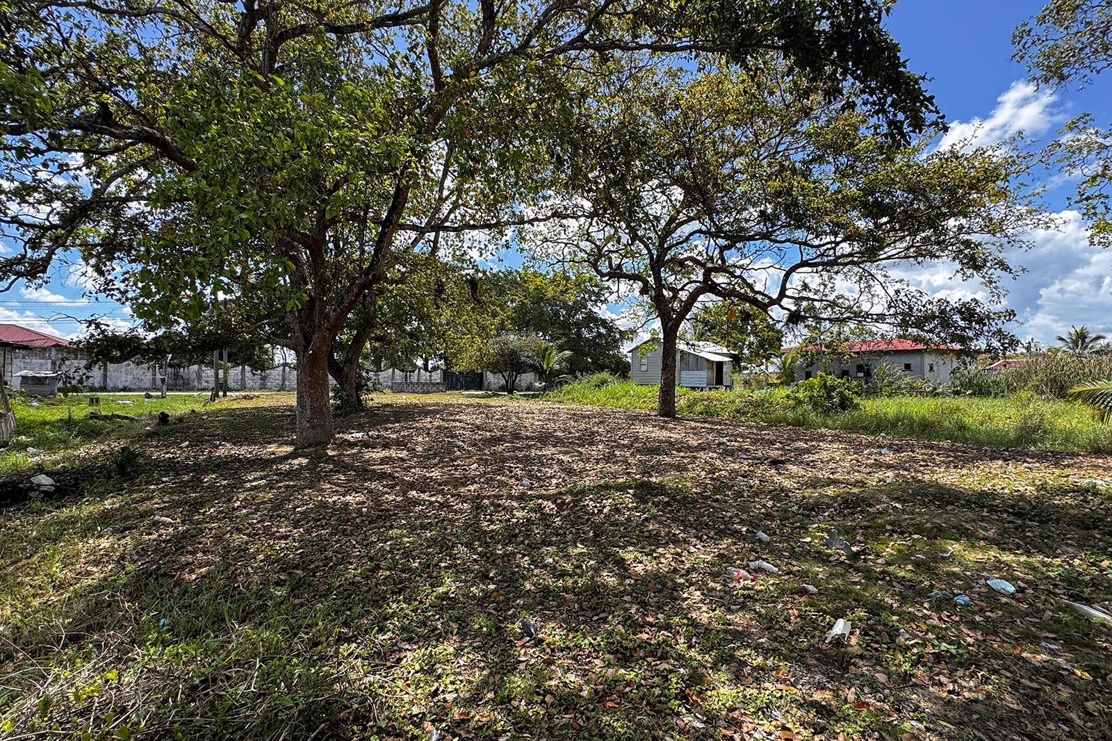 Listing Image #5