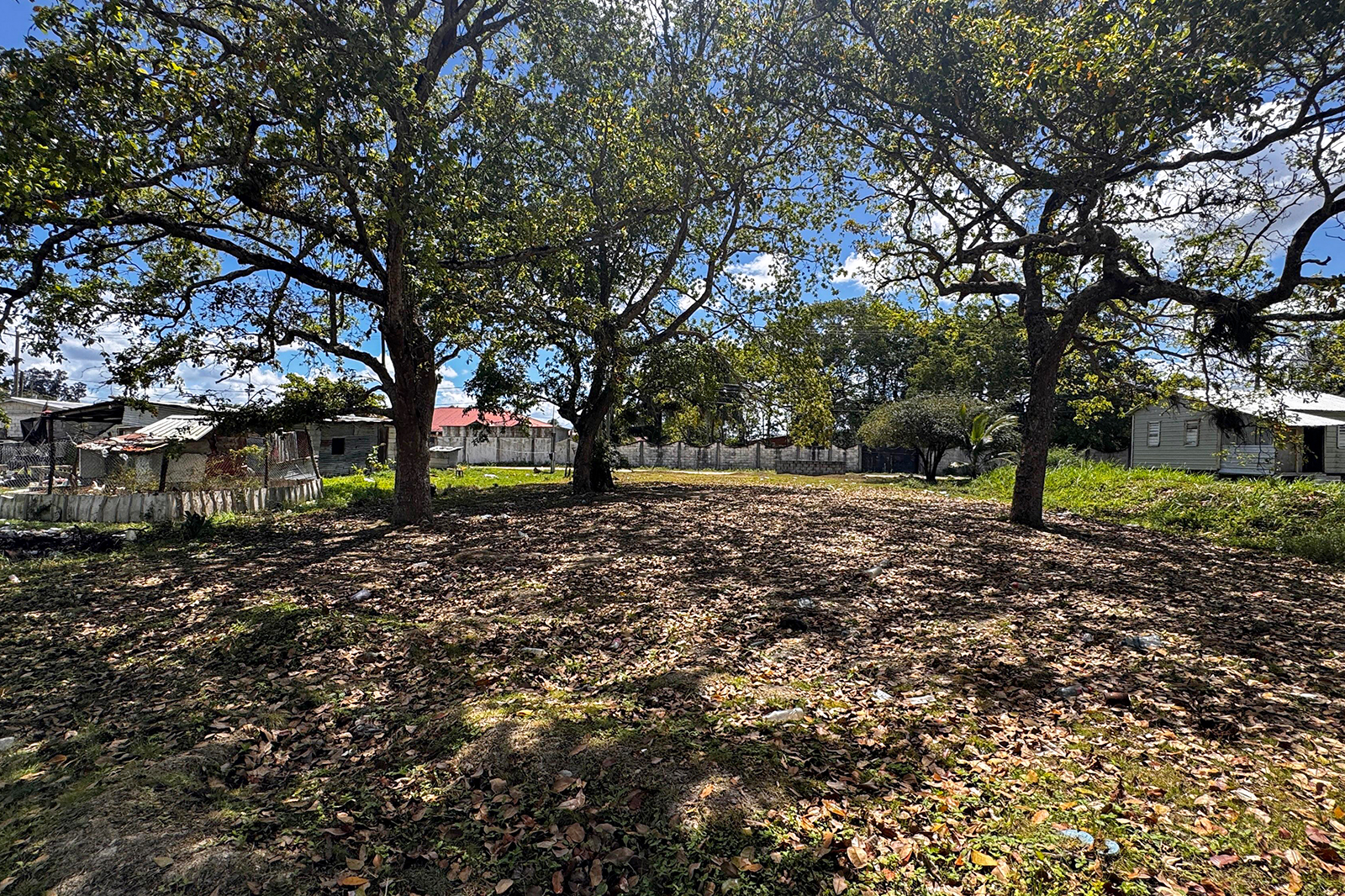 Listing Image #6