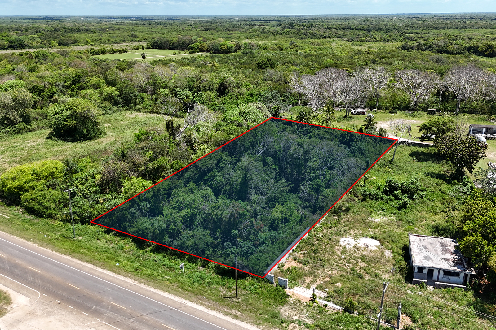 Listing Image #3